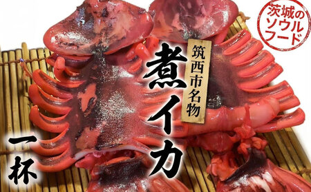 筑西市名物 煮イカ（一杯） いか 筑西 茨城 ソウルフード ご当地グルメ 名物 海鮮 魚介 冷凍 ［BW088ci］