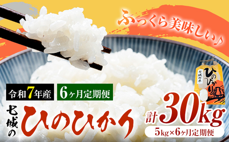 米 令和7年産 七城の ひのひかり 5kg 6ヶ月定期便 計30kg 有限会社草佳苑《90日以内に出荷予定(土日祝除く)》熊本県 菊池市 こめ 米 ひのひかり ブランド米 お米