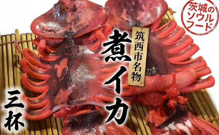 筑西市名物 煮イカ（三杯） いか 筑西 茨城 ソウルフード ご当地グルメ 名物 海鮮 魚介 冷凍 ［BW090ci］