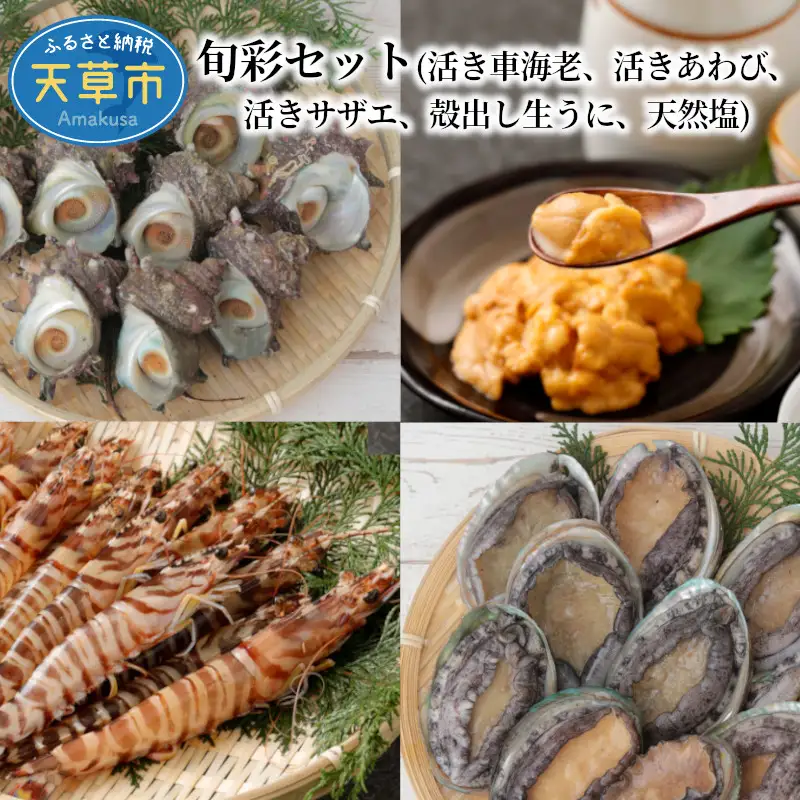 S002-005_旬彩セット(活き車海老・活きあわび・活きサザエ・殻出し生うに・天然塩) / 車エビ 車海老 エビ えび あわび アワビ サザエ うに 雲丹 ウニ