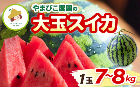【先行予約】やまびこ農園の大玉スイカ 1玉 (7~8kg) 【2026年6月中旬以降順次発送予定】  [A-21902]