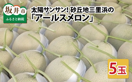 【先行予約】太陽サンサン砂丘地 三里浜のアールスメロン5玉（1玉あたり約1.7～2.0kg）【2026年9月上旬以降順次発送予定】 [B-8301]