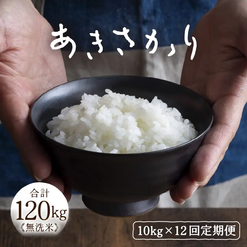 定期便 ≪12ヶ月連続お届け≫ 令和7年産 あきさかり 無洗米 10kg×12回（計120kg） ／ 米 10キロ 福井県産 ブランド米 あきさかり ご飯 白米 新鮮 高品質米 [aw121-p003]
