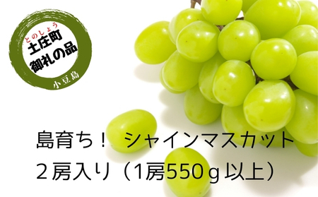 【 小豆島 】島育ち！ハウスシャインマスカット　2房入り 約1.1kg 果物類 ぶどう フルーツ 果物 