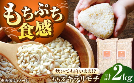 もち麦 キラリモチ 2kg（1kg×2袋）/ 雑穀 雑穀米 / 佐賀県 / 大塚米穀店 [41ANAD005]