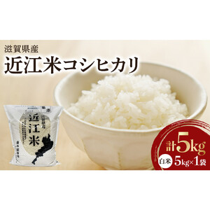令和7年産　近江米コシヒカリ（白米）5kg