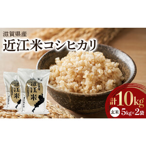 令和7年産　近江米コシヒカリ（玄米）5kg×2　計10kg