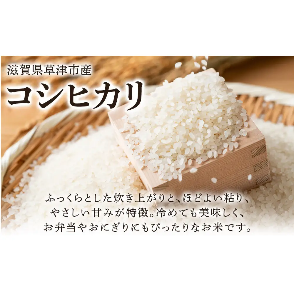 令和7年産　近江米コシヒカリ（玄米）5kg×3　計15kg 