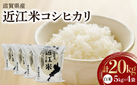令和7年産　近江米コシヒカリ（白米）5kg×4　計20kg 