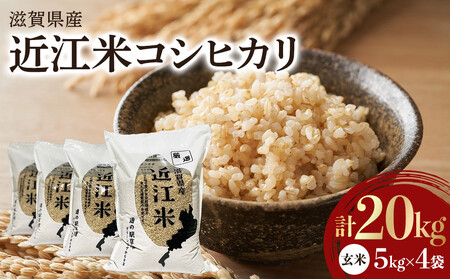 令和7年産　近江米コシヒカリ（玄米）5kg×4　計20kg 