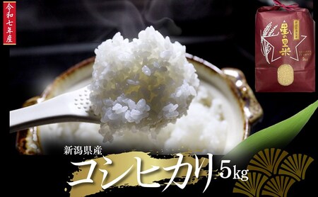令和7年 新潟県産 コシヒカリ 5kg 5キロ 上越市 清里産 星の里米 TY GREEN 白米 精米 送料無料
