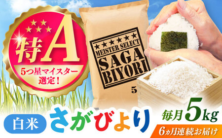 【全6回定期便】さがびより 白米 5kg / 白米  / 佐賀県 [41ANAD013]