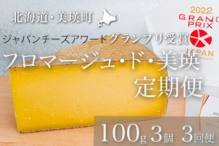 チーズ グランプリ受賞 定期便 100g×3個 3ヶ月  北海道チーズ 本格的ハードチーズ   [048-21]
