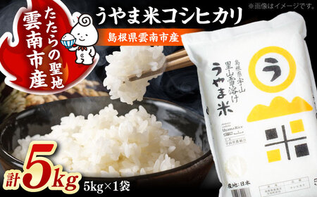 コシヒカリ うやま米 5kg [AIDB076] コシヒカリ