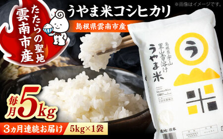 【全3回定期便】うやま米コシヒカリ 5kg [AIDB077] 米 定期便