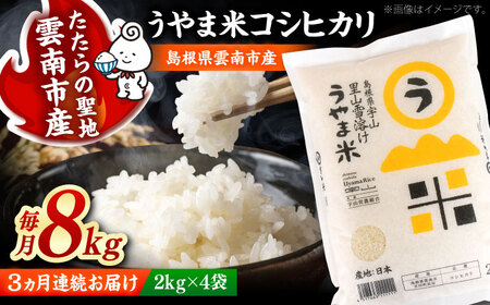 【全3回定期便】うやま米コシヒカリ 8kg（2kg×4）[AIDB078] 米 定期便