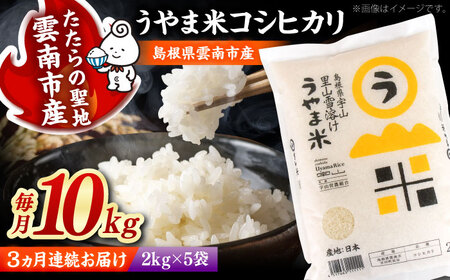【全3回定期便】うやま米コシヒカリ 10kg（2kg×5）[AIDB079] 米 定期便
