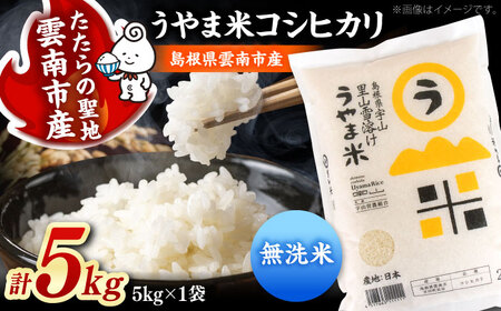 【無洗米】コシヒカリ5kg 無洗 雲南市産[AIDB080]