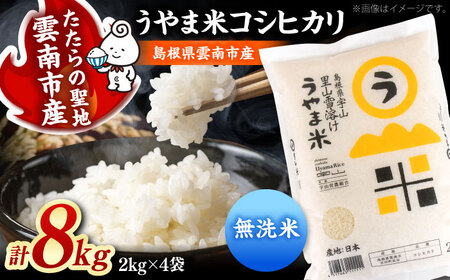 【無洗米】コシヒカリ8kg 無洗 雲南市産[AIDB081]