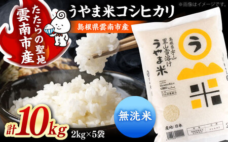【無洗米】コシヒカリ10kg 雲南市産 無洗 [AIDB082] 