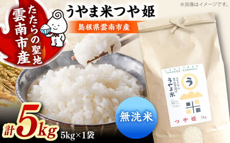 無洗米 つや姫 雲南市吉田町産 5kg[AIDB092] 無洗