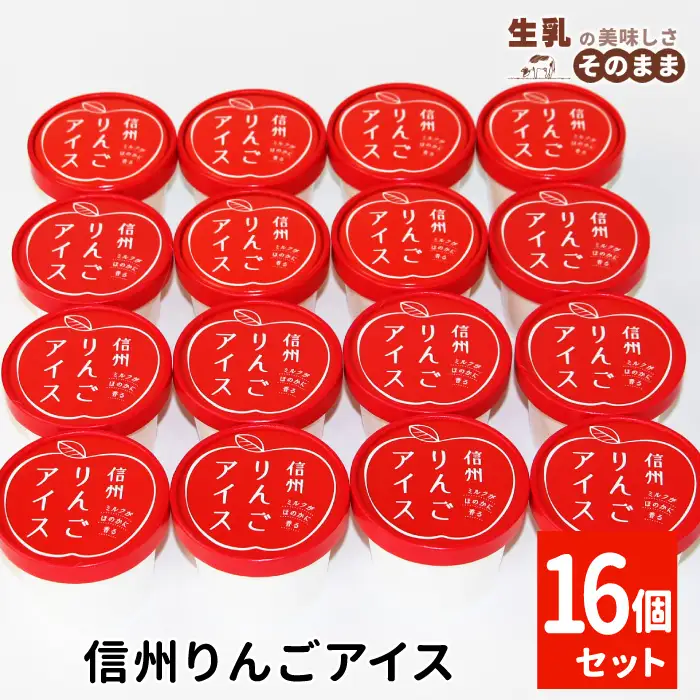 2026年7月1日～寄付金額変更★〈1週間以内発送〉ふじりんごを丸ごと使用★信州りんごアイス 16個 マーブルアイス アイスクリーム アイス りんご ふじりんご りんごソース スイーツ アップル 林檎 10000円 1万円