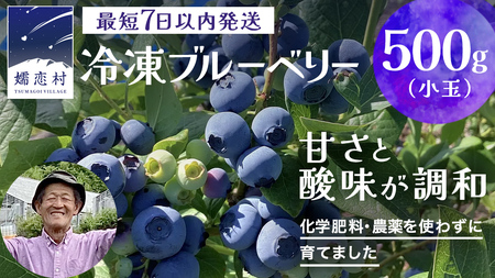 【 最短 7日以内 発送 】 冷凍 ブルーベリー 小玉 500g	【 化学肥料 農薬 使わずに栽培 】 数量限定 小粒 国産 フルーツ スムージー 果物 くだもの 農家直送 スイーツ アイス ノーザンハイブッシュ系 ミックス [AT014tu]