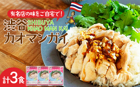 渋谷カオマンガイ 3食入 | 所沢 カオマンガイ 鶏肉 タイ料理