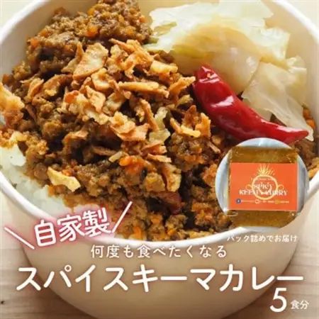 RUTA自家製スパイスキーマカレー計1kg【配送不可地域：離島】【1662585】