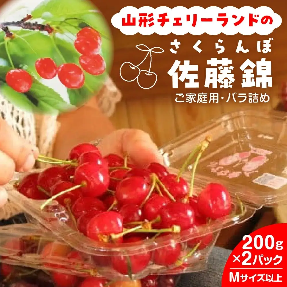 山形チェリーランドのさくらんぼ（佐藤錦）２００ｇ×２パック　ご家庭用　0075-2601