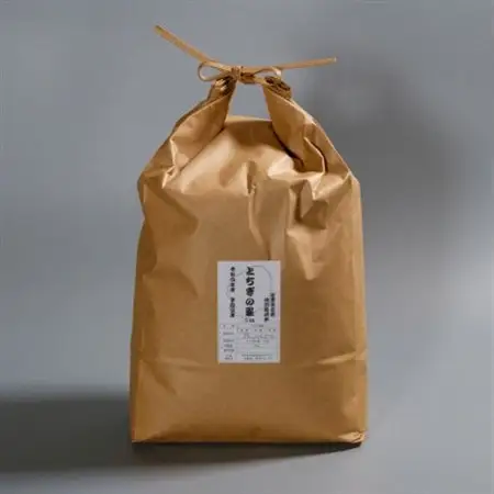 令和の大嘗祭供納米品種「とちぎの星」 精米　5kg【1679439】