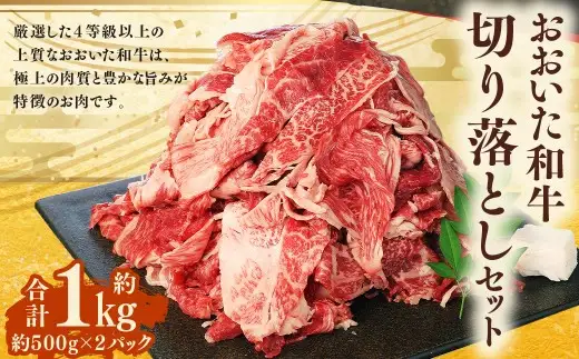 おおいた和牛 切り落とし 約500g×2パック 計約1kg
