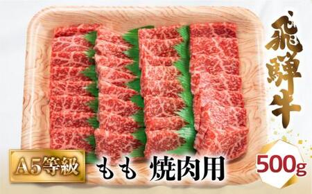 A5等級 飛騨牛 もも 焼肉用 500g 飛騨牛 肉の匠家 BV010