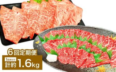 【6カ月定期便】 【赤身 VS ミスジ 食べ比べ！】 おおいた和牛 赤身焼肉 ・ ミスジ焼肉 約1.6kg×6回 計約9.6kg