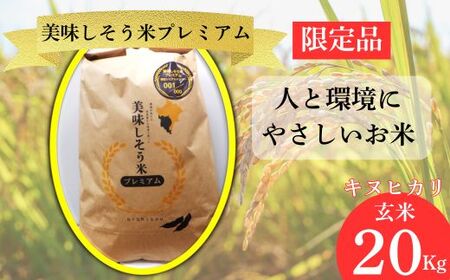 I11　キヌヒカリ 玄米　20Kg   数量限定 令和7年産 新米　美味しそう米　プレミアム【 お米 コメ きぬひかり 兵庫県 宍粟市 】