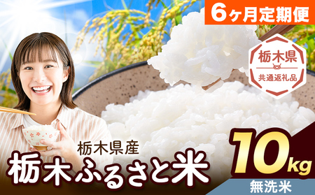 【6ヶ月定期便】栃木 ふるさと米 無洗米 10kg《お申込み翌月から出荷》おこめ【栃木県共通返礼品】