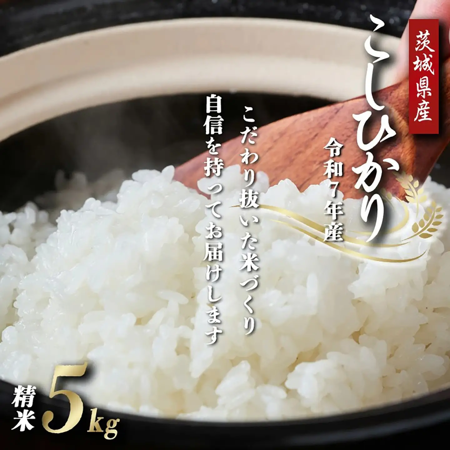 米 こしひかり 令和7年産 コシヒカリ 精米 5kg