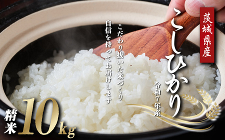 米 こしひかり 令和7年産 コシヒカリ 精米 10kg
