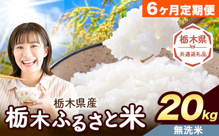 【6ヶ月定期便】栃木 ふるさと米 無洗米 20kg《お申込み翌月から出荷》おこめ【栃木県共通返礼品】