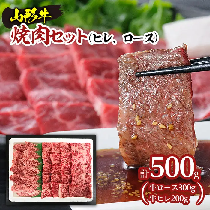 山形牛焼肉セット500g(ヒレ、ロース) FZ20-009