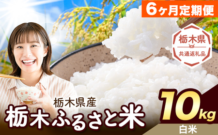 【6ヶ月定期便】栃木 ふるさと米 白米 10kg《お申込み翌月から出荷》おこめ【栃木県共通返礼品】