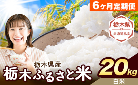 【6ヶ月定期便】栃木 ふるさと米 白米 20kg《お申込み翌月から出荷》おこめ【栃木県共通返礼品】