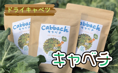 【先行予約】 ドライキャベツ キャベチ 3袋（2026年1月～配送） キャベツ