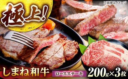 しまね和牛ロースステーキ200g×3枚 島根県松江市/株式会社さんれいフーズ[ALFR008]