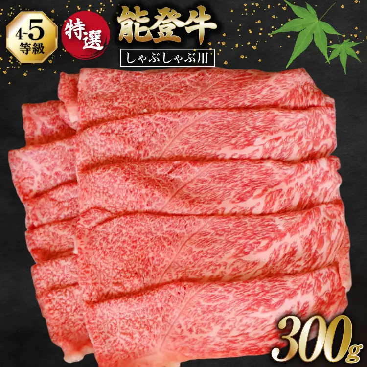 牛肉 能登牛 特選 (4～5等級) しゃぶしゃぶ用 300g 肩 もも肉 [寺岡畜産株式会社 石川県 宝達志水町 38601302]