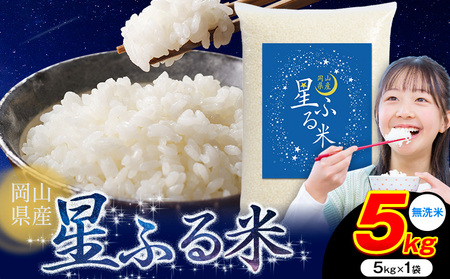 無洗米 星ふる米 5kg 無洗 m