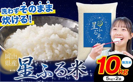 無洗米 星ふる米 10kg 無洗 米 m  