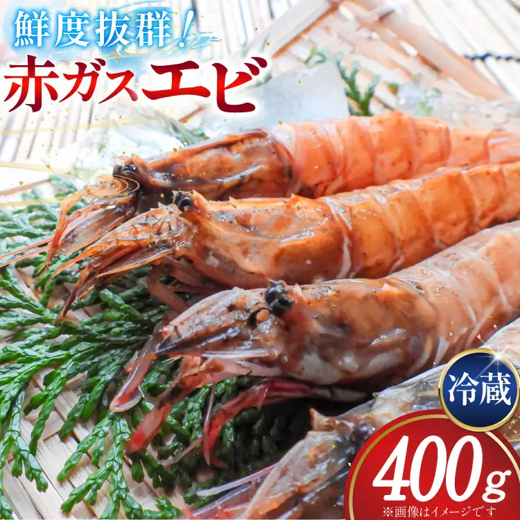超甘！赤ガスエビ 冷蔵 400g [小川水産 石川県 志賀町 CM6002] 