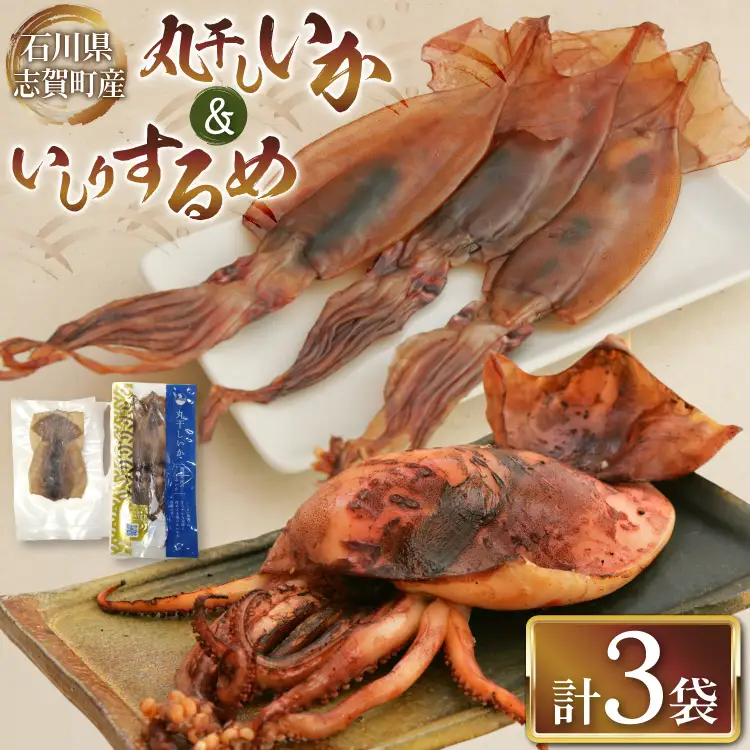 干物 丸干しいか 120g いしりするめ 4枚 [西海水産 石川県 志賀町 AB4134] 