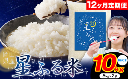 【12ヶ月定期便】無洗米 星ふる米 10kg 無洗 mt